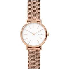 ساعت مچی اسکاژن SKW2694 - skagen watch skw2694  